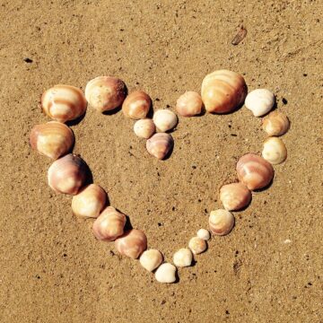 S’engager (dans la vie !)